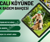 MORCALI'DA SATILIK BADEM BAHÇESİ (TAKAS AÇIK)