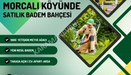 MORCALI'DA SATILIK BADEM BAHÇESİ (TAKAS AÇIK)